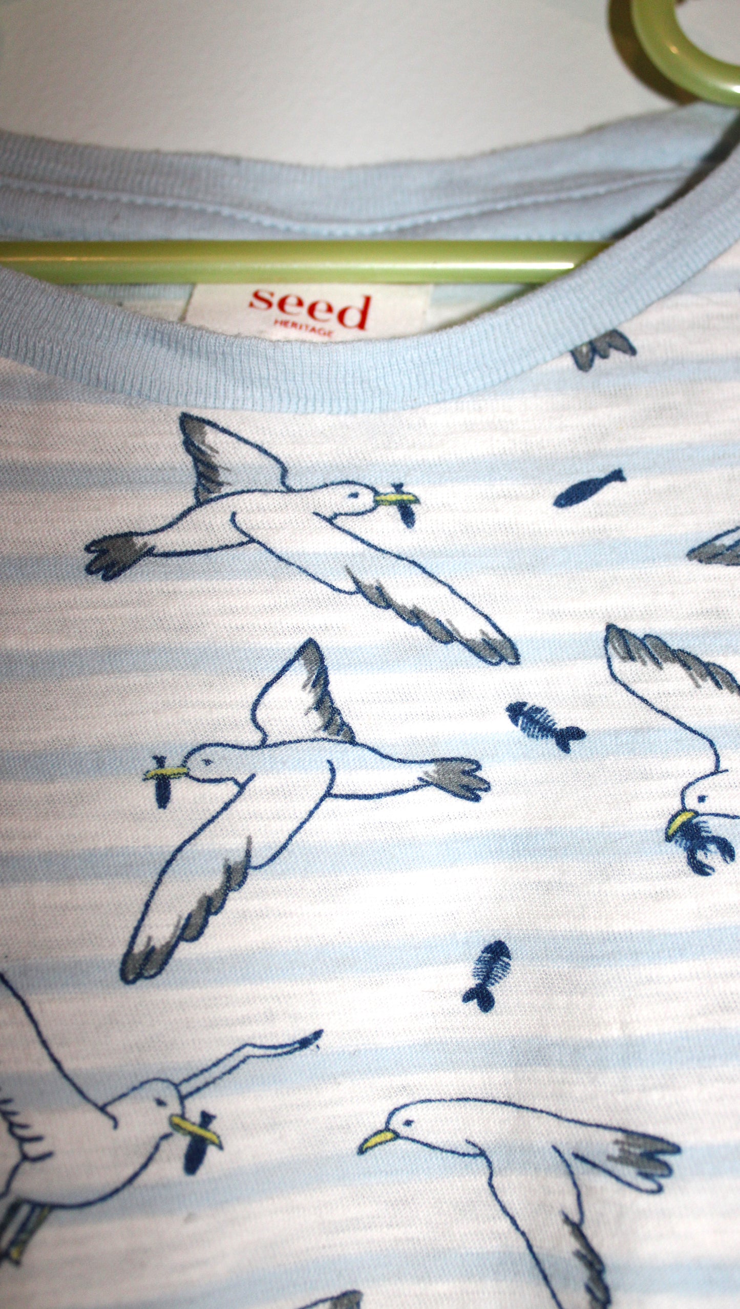 Seed Blue seagull print T-shirt
